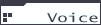 Voice